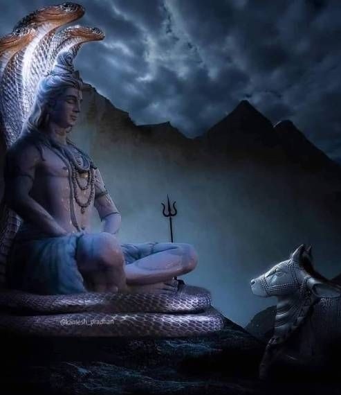 नादां🧚‍♀️ tweet media