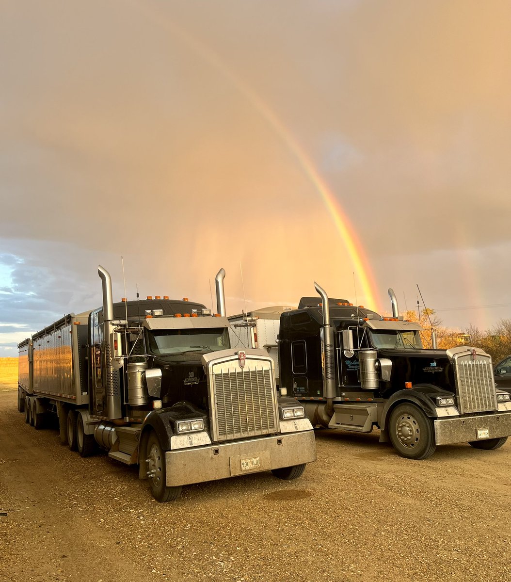 Kyla McLean tweet media