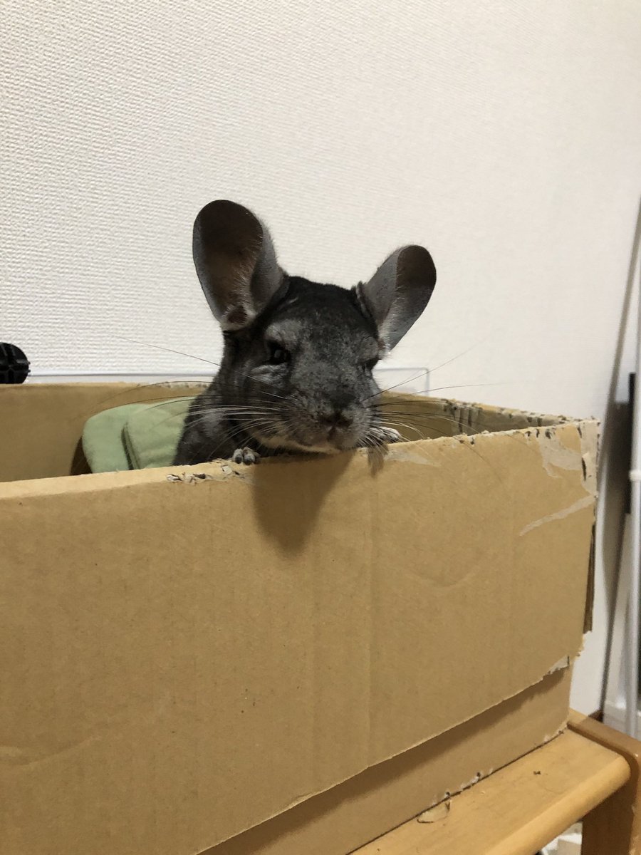 sa3n1to0's tweet photo. 年末年始の予定を考え始めるこの時期、2023年は最悪の年始だったなぁと思い起こされます😮‍💨

空っぽになった一部屋、何にも使われずに1年経ってしまうもんですね、、 https://t.co/wbqOWh3WXn