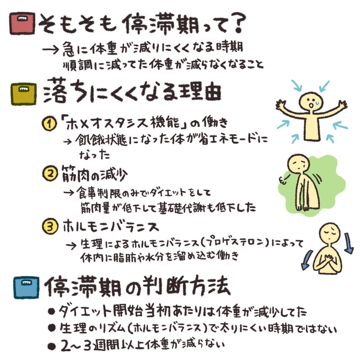 ダイエットを続けていると必ずと言っていいくらい「停滞期」はきます‼️  そもそも停滞期って⁉️ ☞落ちにくくなる理由📚 ☞停滞期の脱出法💨 ☞停滞期のNG行動👿  停滞期はダイエットの失敗ではない、諦めないで続けていこう❗️  #あやダイ