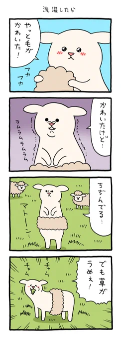 4コマ漫画スキヒツジ「洗濯したら」 qrais.blog.jp/archives/24819…
