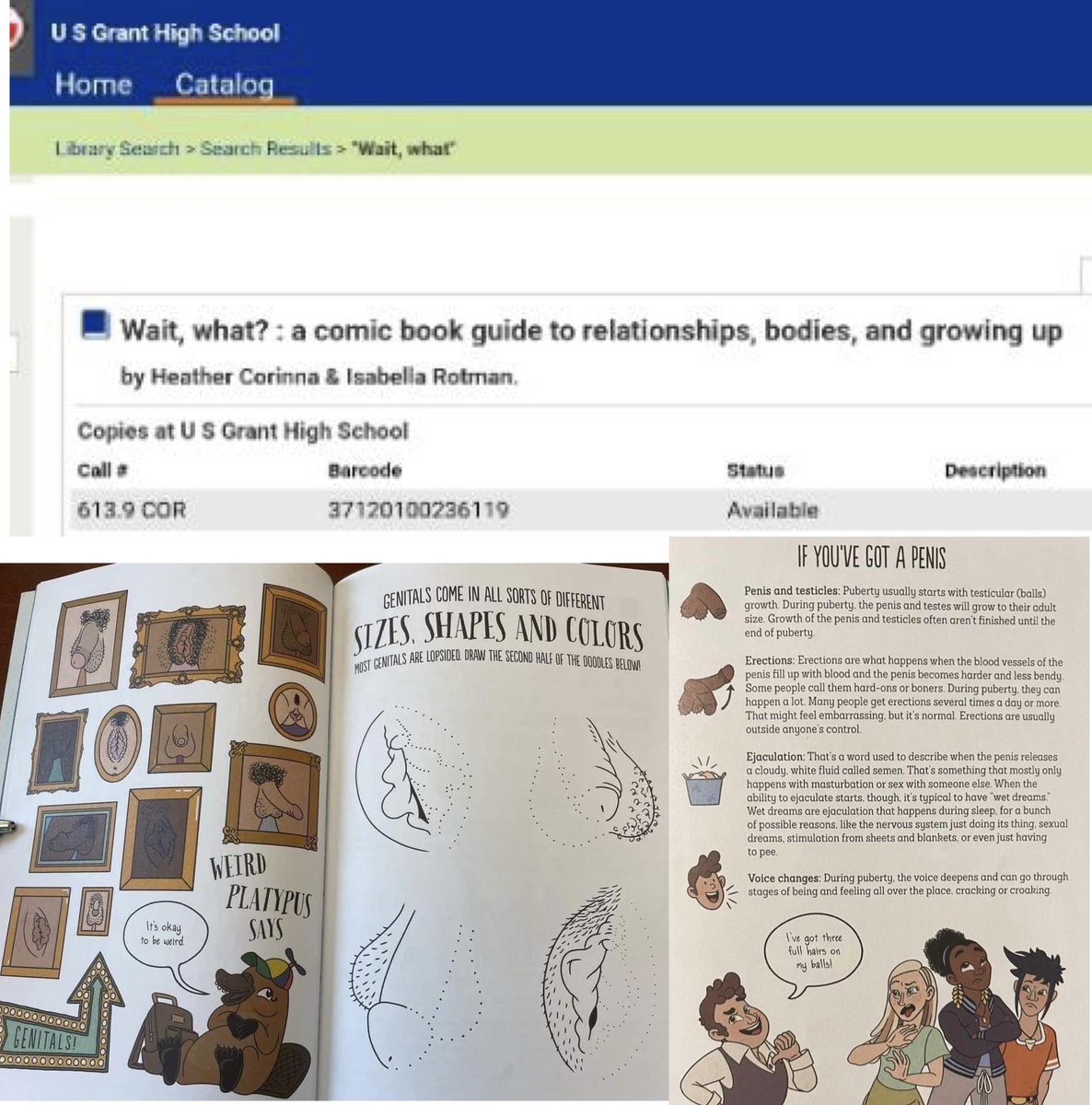 Libs of TikTok tweet media