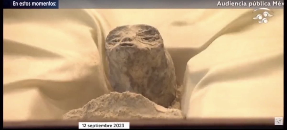 What does this picture do for you?