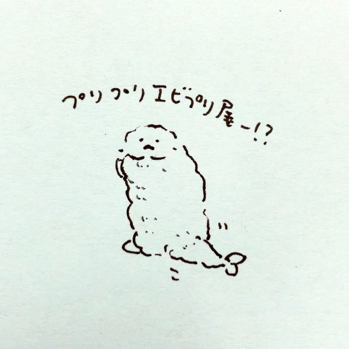 プリプリエビプリ尾 