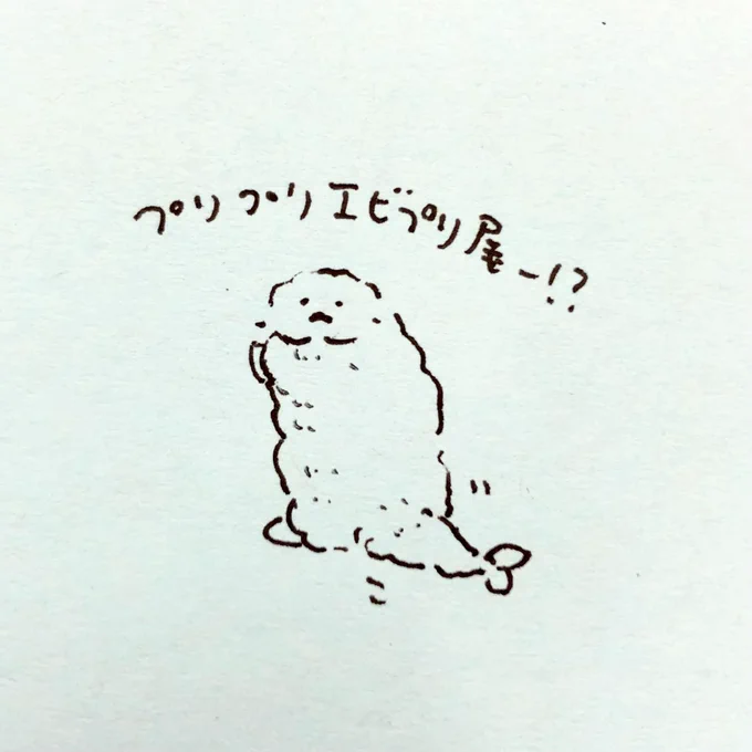 プリプリエビプリ尾 