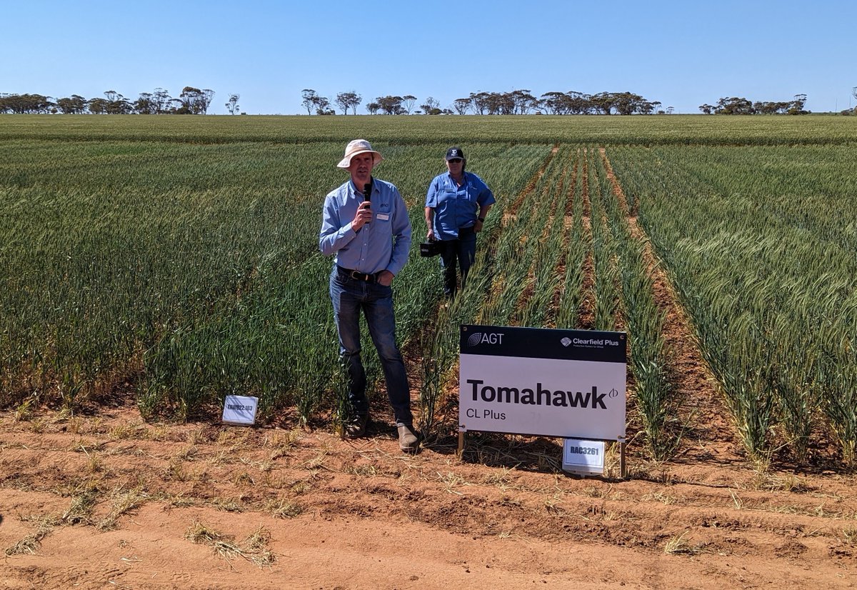 Yesterday, we launched Tomahawk CL Plus – a new Scepter-type Clearfield wheat suited to WA, SA, Vic and southern NSW at a range of field days, including Minnipa Ag Centre Field Day, with wheat breeder James Edwards (below) doing the honours.

“We have been striving to reduce the