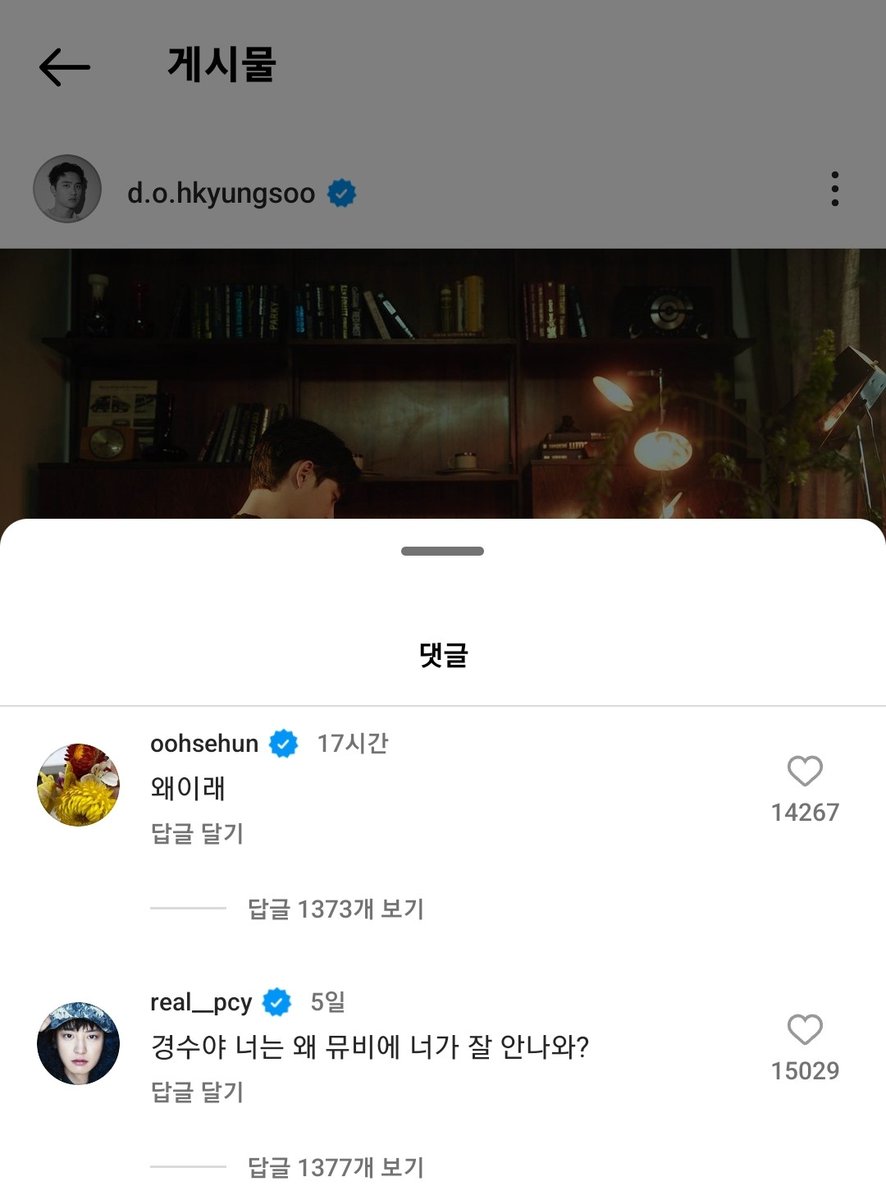 돋뽕 tweet media