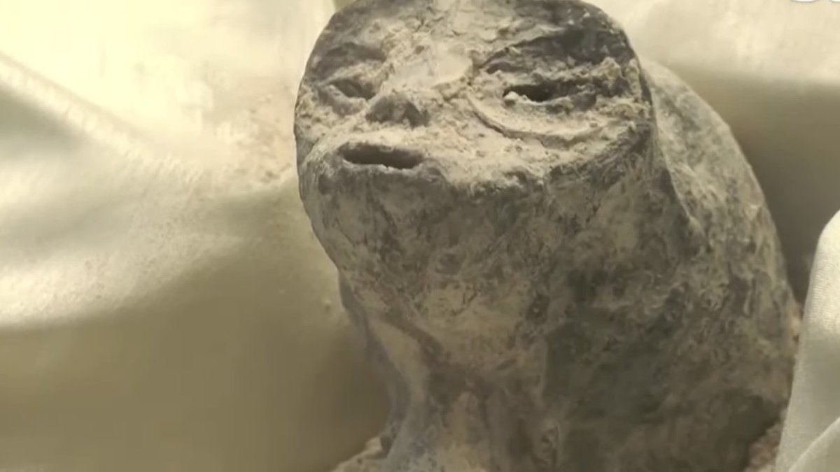Siddharth94's tweet photo. 🚨 ATTENTION - Closer look into the Alien Bodies that the Mexican Government has unveiled to the public and the tests that has been carried out on them
#AliensOnEarth  #Aliens 
#alienbody #MexicoAlien https://t.co/Dp6VQUIL4U