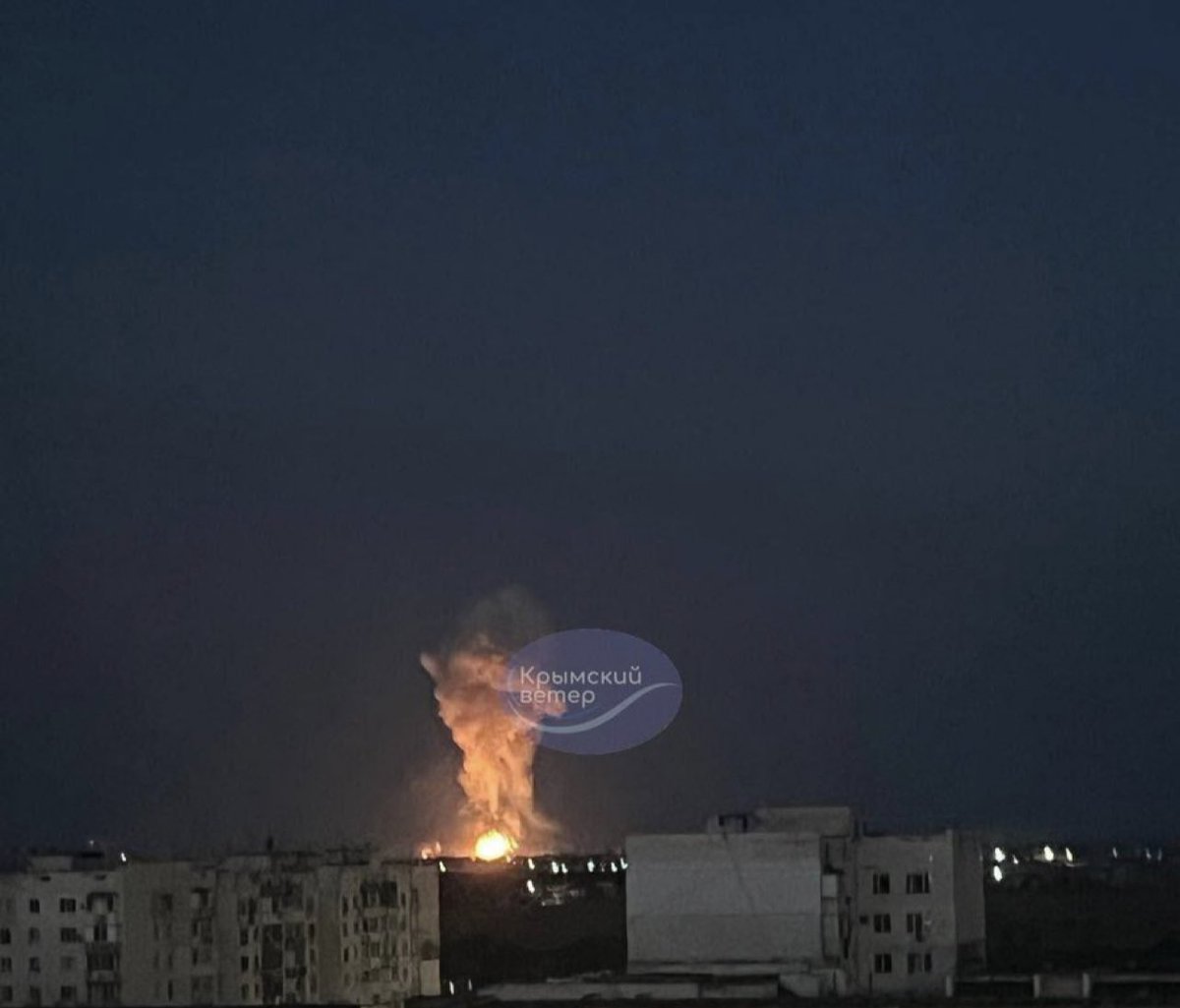 Грибний сезон в Криму продовжується. Тепер Євпаторія😍