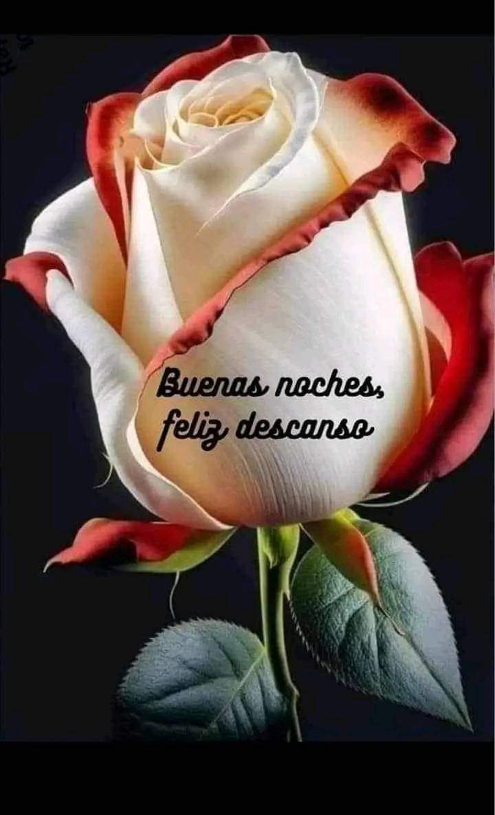 Angélica guerrero (@angelicagu66) on Twitter photo 