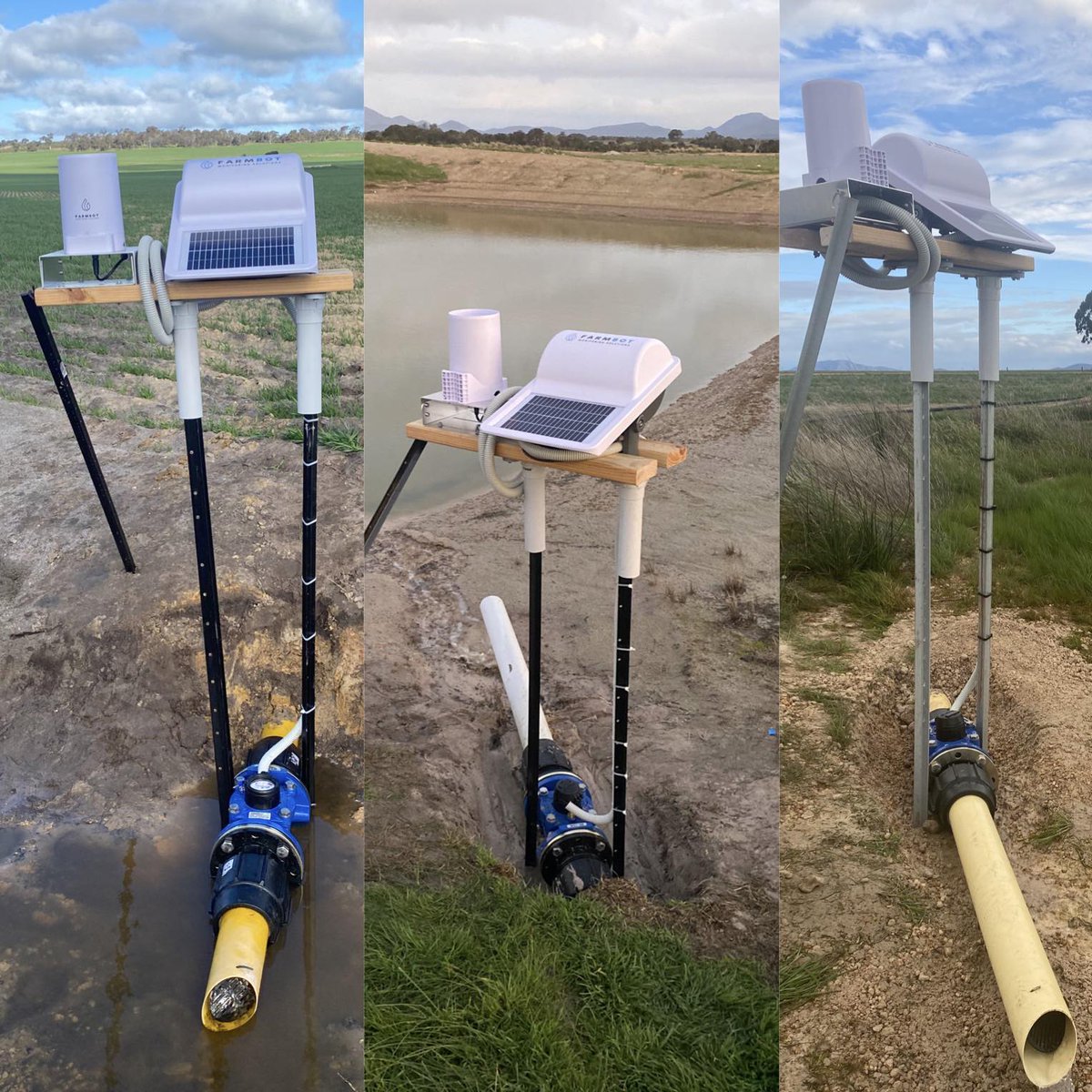 Gillamii tweet media