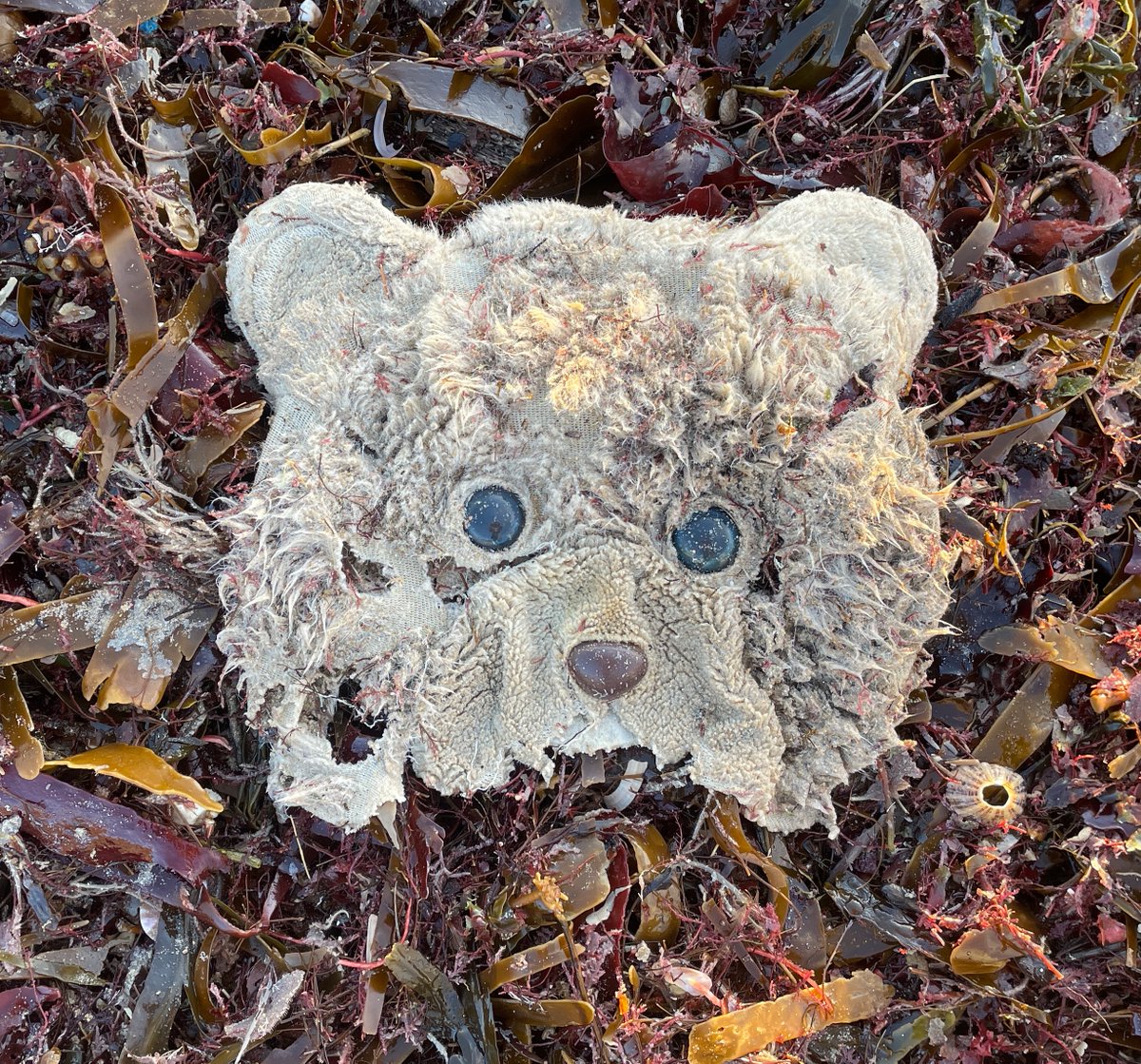 An image we took of a teddy bear's head emerging from the deep after a winter storm is to be included in a new exhibition at the Turner Contemporary. The group exhibition In The Offing has been devised by Turner Prize-winning artist @MarkLeckey. It runs from 7 Oct 23 to 14 Jan…