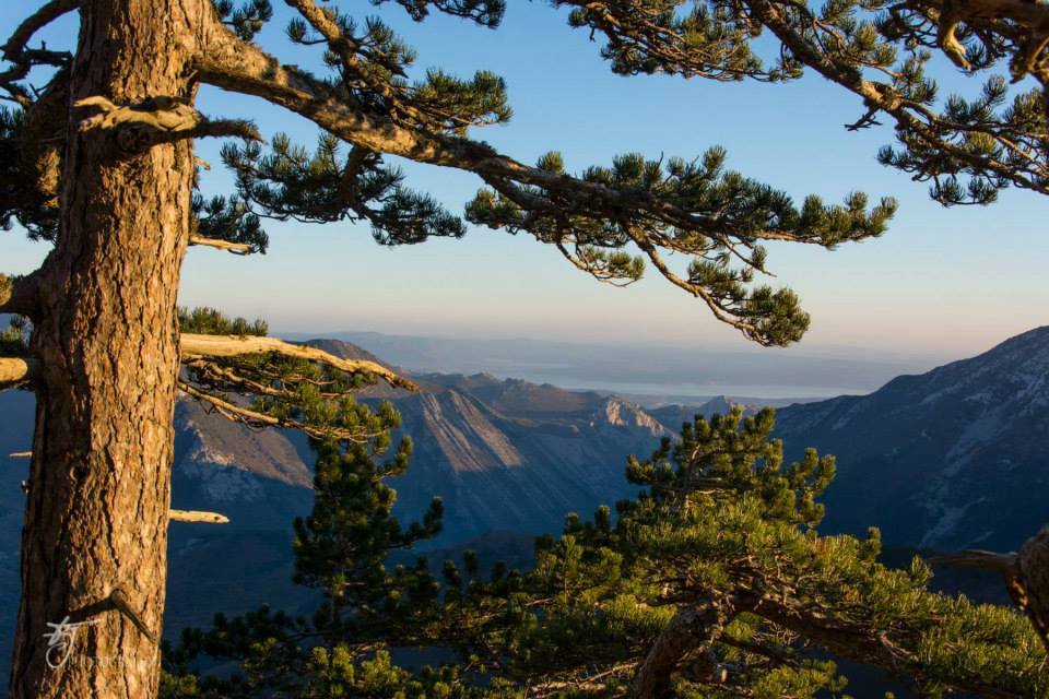 ValToursBiograd's tweet photo. #NationalPark #Paklenica #Dalmatia #AdriaticSea #Croatia https://t.co/OvHfkZ1qAD