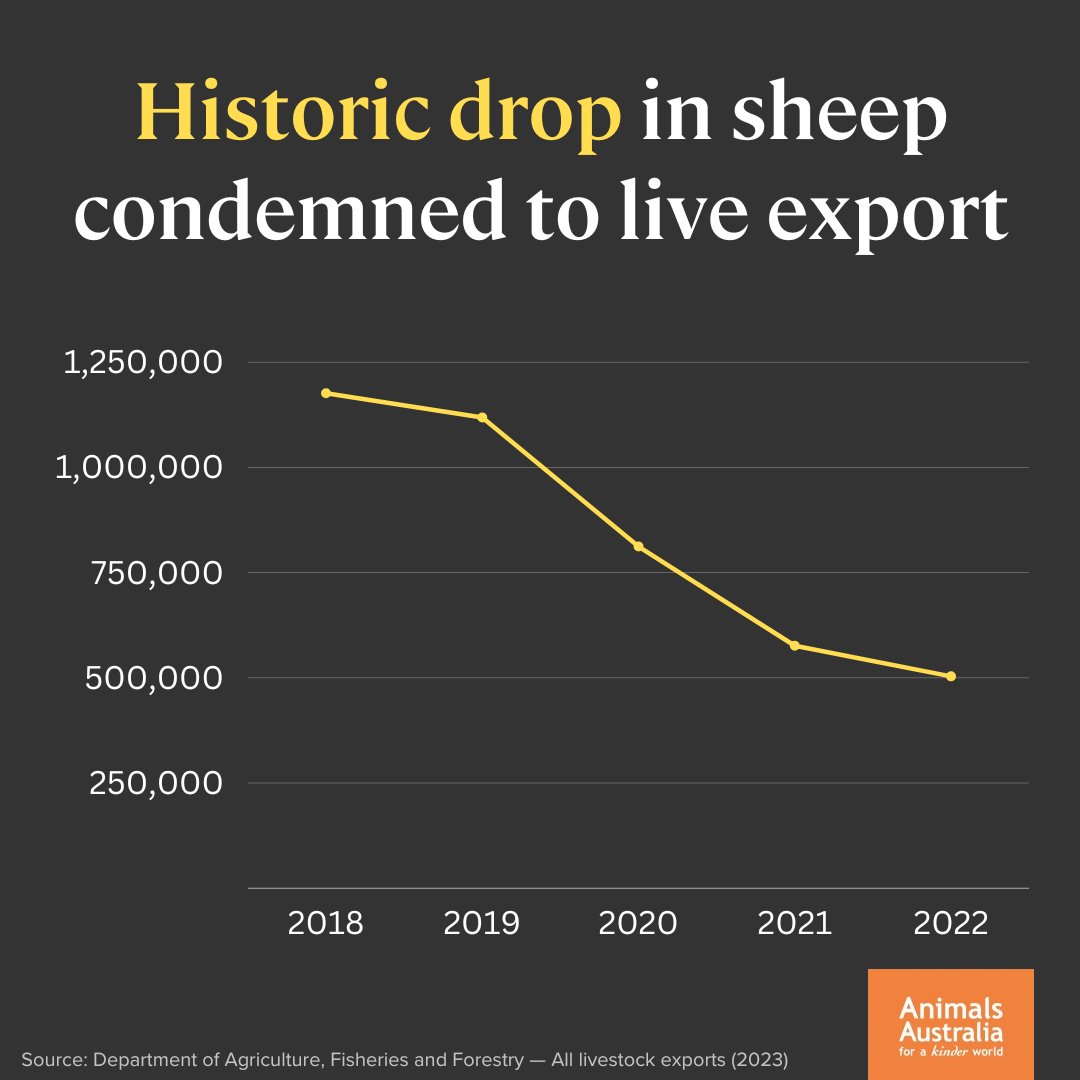 Next stop, zero.

Act today to join the calls for the live sheep export phase-out to be made law within this term of parliament and to be finished as soon as possible: animalsaus.co/486KuJU #LegislatetheDate