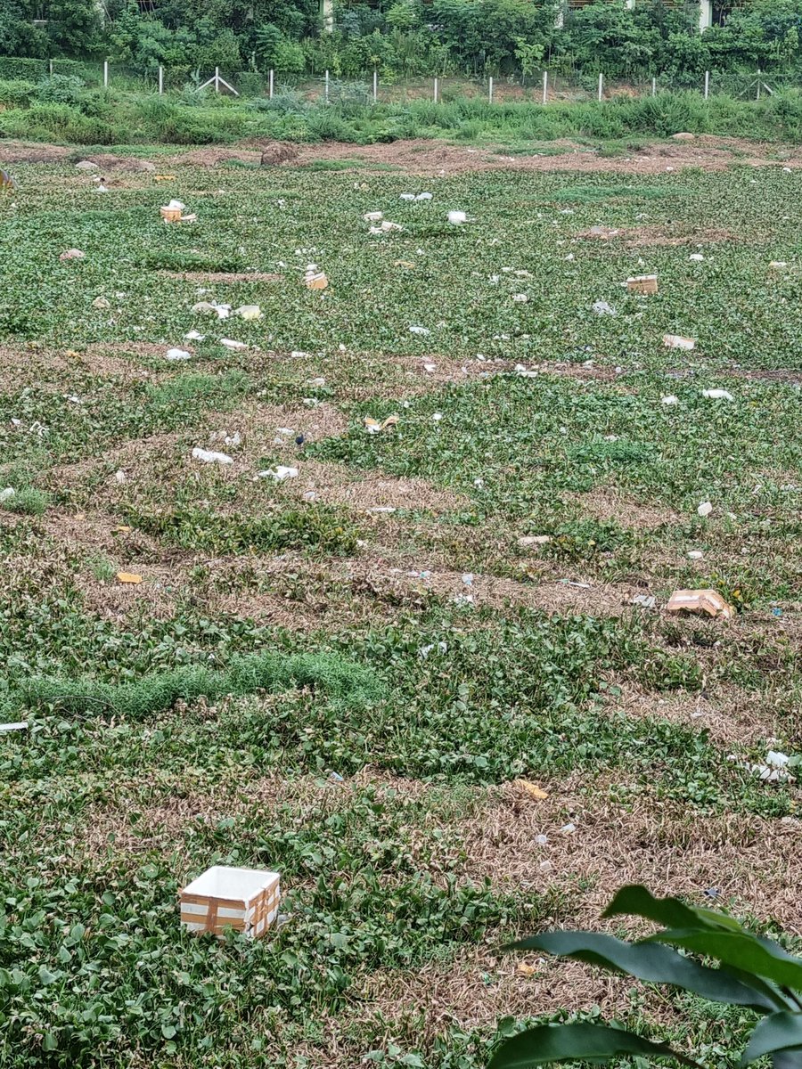 docmother's tweet image. #plasticdump
#irresponsiblehumanattitude
#adyarriver
Cargo residue dump from the airport. The whole dried up river bed us full of cartons