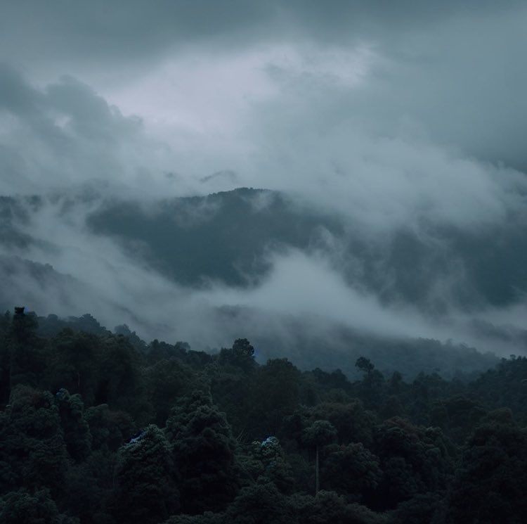 JourneyT0TheSon's tweet photo. Cool temperatures after the rain clouds covering the mountain forest welcomes all #CoolTemperatures #MountainForest #RefreshingRain https://t.co/5oB44kuHw3