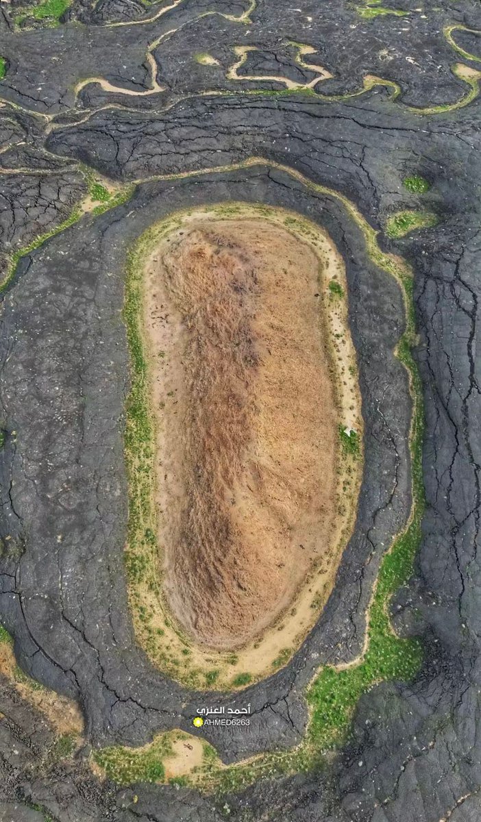 شحون وخواطر عن السياحة السعودية(24) 
السياحة البركانية(2) 
#تراثنا_الطبيعي #تراث_المملكة #جيولوجية_السعودية
يحكي المشهد من حرة الهتيمة بحائل رواية جيولوحية،وجغرافية صاخبة،الحجر الرملي و عمرة 600 مليون سنة،تم حصاره من البازلت البركاني من 12 مليون سنة،و شق مجري النهر من مليوني سنة