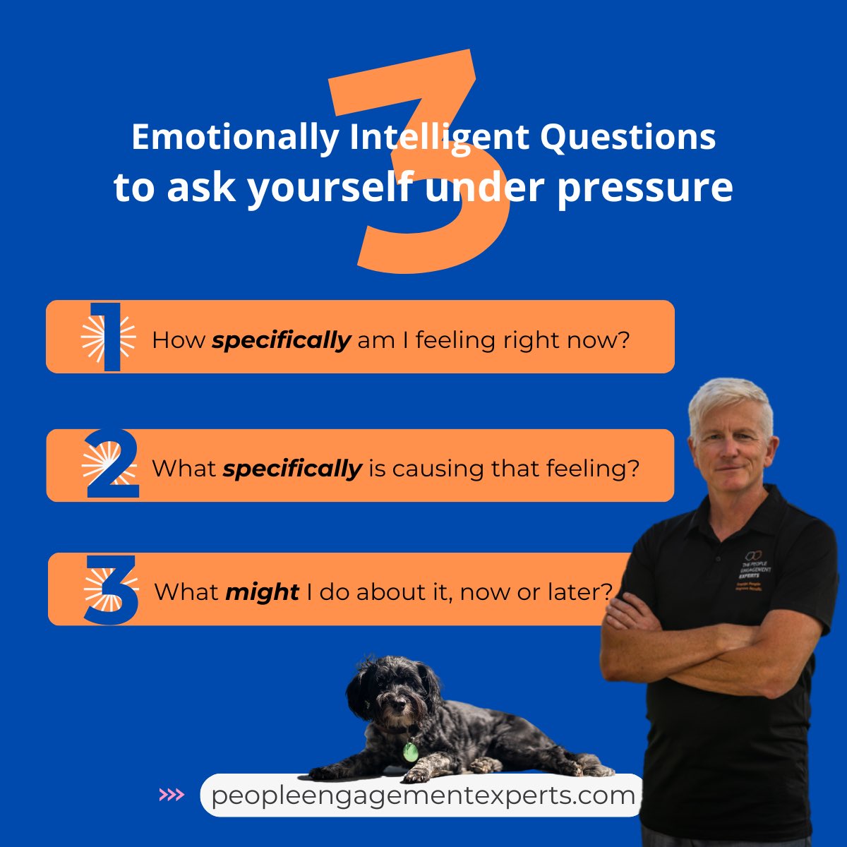 Terry Williams: People Engagement Experts (@terrynwilliams) on Twitter photo 