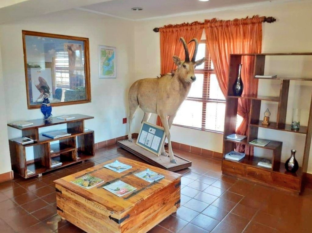 LimpopoR's tweet photo. Take advantage of this opportunity to visit Limpopo Wildife Resorts. #MahalaWeek
#MoreToEnjoy
For more info โ๏ธ076 680 4022
Nylsvley Birding Lodge https://t.co/CYflBtlKpy
