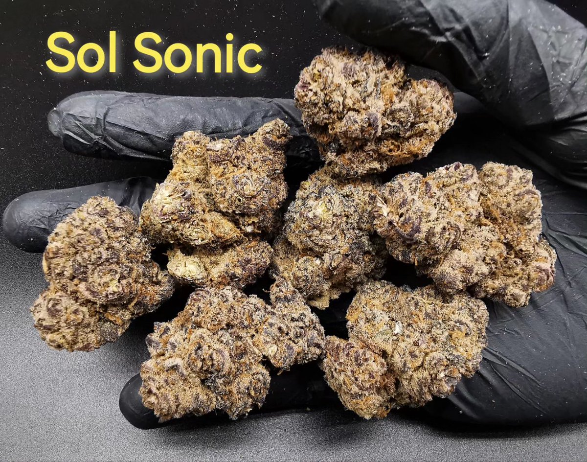 funcloud101's tweet image. Indoor Hydroponic 
- Popcorn 🍿 
1g 85.- 
10g 750.- 
30g 2,100.- 
50g 3,000.- 
100g 5,500.- 
- Top 🪷
1g 150.- 
10g 1,350.- 
30g 3,300.- 
50g 5,000.- 
100g 9,500.- 
All of all menu is in the group 😋 
line.me/ti/g2/kMpA5L-S…
#กัญชา #กัญชานอก #กัญชาไทย #og #weed #cannabis #กัญชาog