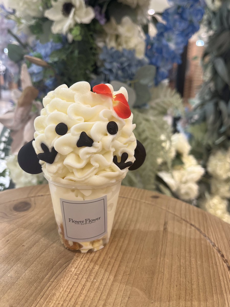 Flower Flower (@sapporo_flower) / Posts / X