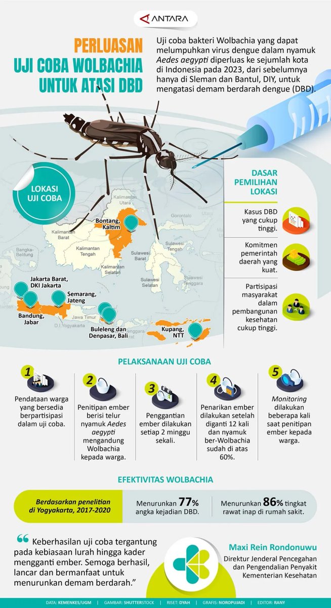 antaranews's tweet photo. Uji coba bakteri Wolbachia yang dapat melumpuhkan virus dengue dalam nyamuk Aedes aegypti diperluas ke sejumlah kota di Indonesia pada 2023.

Laman #infografik: https://t.co/t48K59x16y https://t.co/0N22bmIOSl