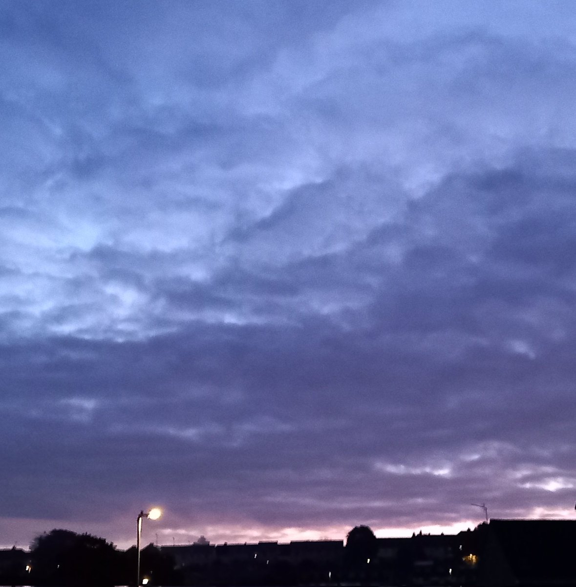 The Learning Institute tweet media