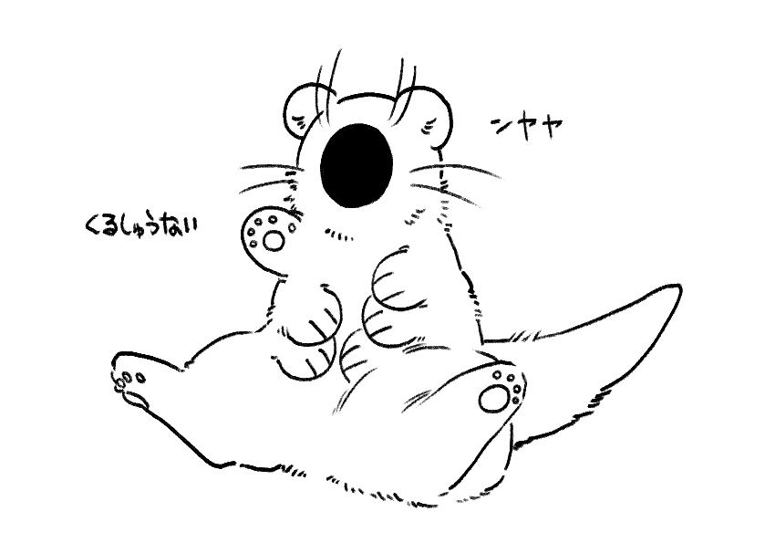 貂 