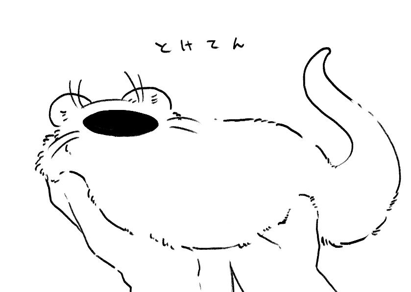 貂 