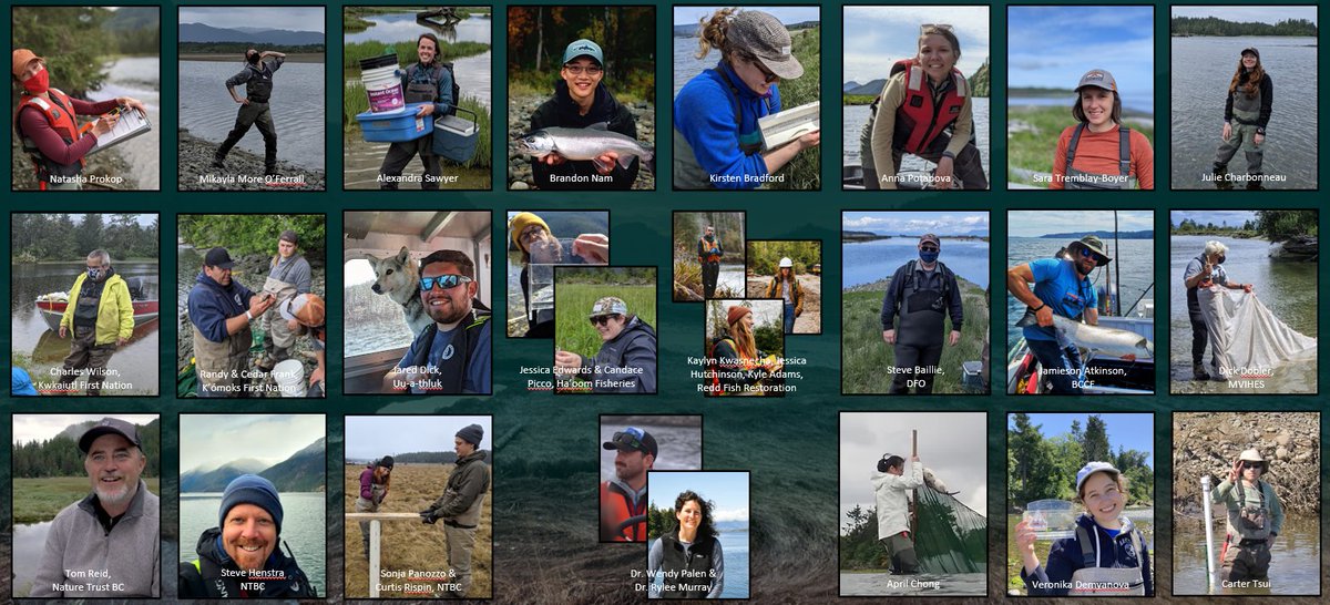 Julian Gan tweet media