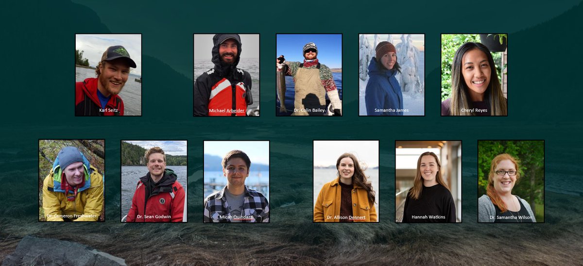 Julian Gan tweet media