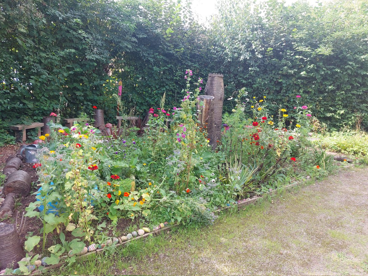 StPetersComm's tweet image. 🏵 Rainbow garden &amp;amp; Cosmos still looking lovely