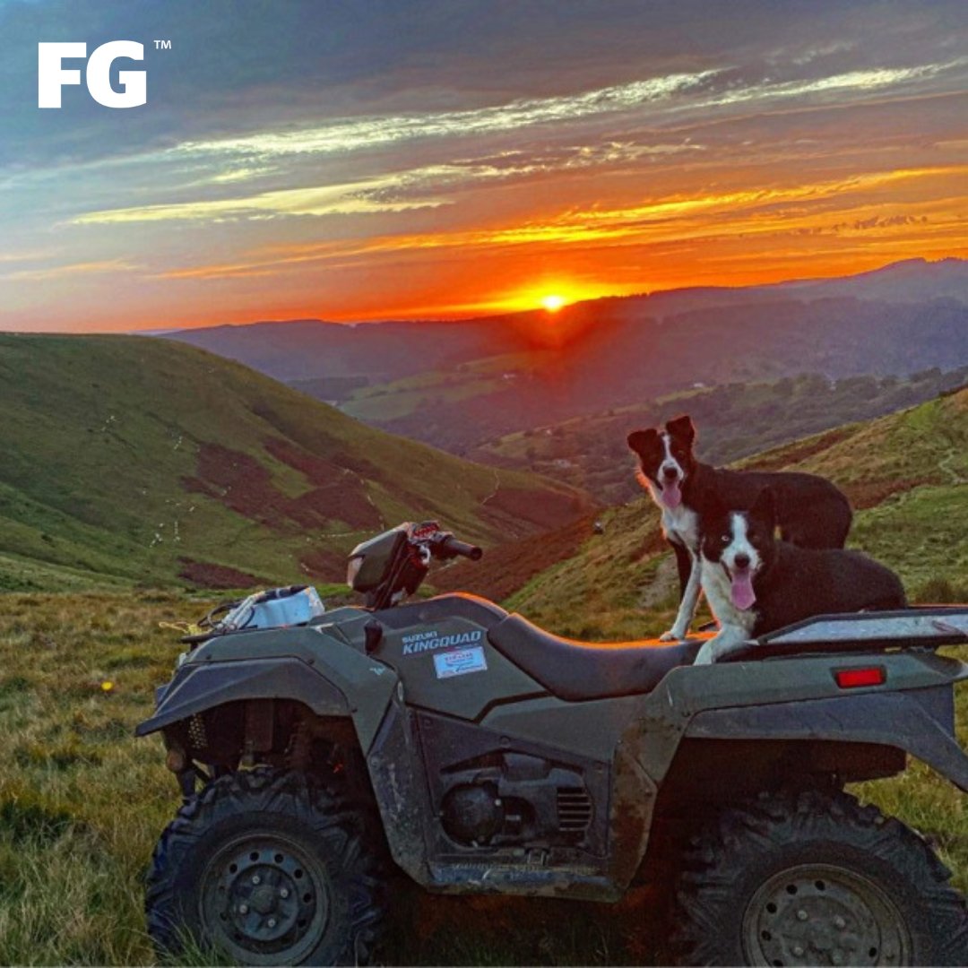 The perks to hill gathering in the south Wales valleys, a cracking sunset 🌄 

📸 Kerys Maddern

#welshfarming #wales #welshvalleys #farming #hillfarming #sunset #sheepdogs #farmdogs #workingdogs #quadlife #quadbike