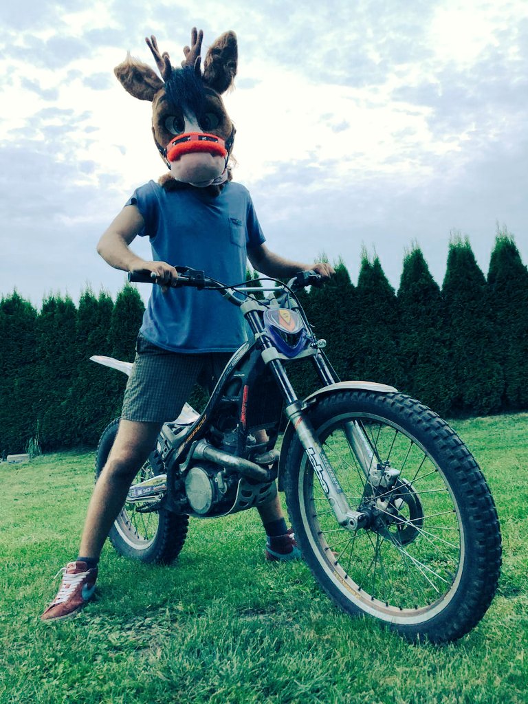 MagnusHorse's tweet photo. Horse and motorbike https://t.co/pGEFvvH7UB