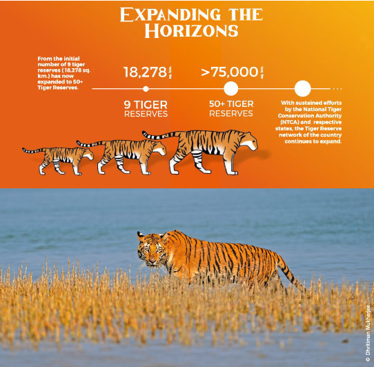 ntca_india's tweet photo. The tiger reserve network has continued to grow since 1973. #TigersOnThursday #50YearsOfProjectTiger https://t.co/ZbdhKUnuU7