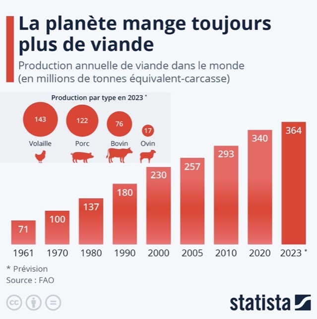 🥩Après avoir quasiment quintuplé depuis 1960, la consommation mondiale de #viande devrait encore augmenter de 15% d’ici à 2031. Elle pourrait atteindre 524 millions de tonnes en 2080, selon les projections réalisées par la #FAO.