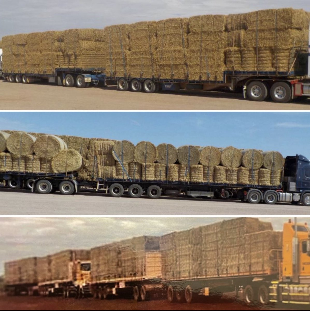 Mirrecogroup's tweet photo. Looking ahead, you might witness the first ever #hemp road trains

Ideally powered by #renewables &amp; hauling #carbon rich biomass for photosynthetic products of the #future 

No trees were harmed in these images 🌳

#environment #technology #innovation #sustainability #energy #bio https://t.co/rA3UanAW7i