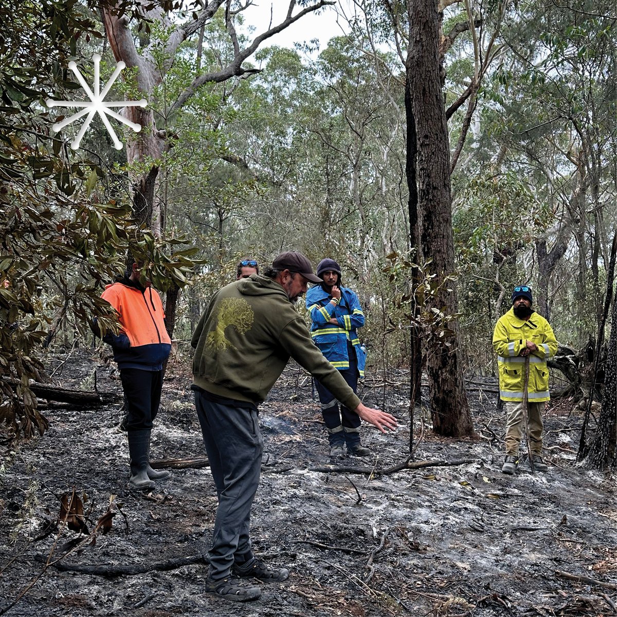 Firesticks (@firesticksa) on Twitter photo #Workwithus! We’re looking for a deadly Regional Coordinator to facilitate delivery of mentoring programs that support Indigenous Fire Practitioners to learn #CulturalFire management on Country. 🔥 Contact hr@firesticks.org.au for more info & apply here 👉🏿 ow.ly/Lqf850PLq3r #Workwithus! We’re looking for a deadly Regional Coordinator to facilitate delivery of mentoring programs that support Indigenous Fire Practitioners to learn #CulturalFire management on Country. 🔥 Contact hr@firesticks.org.au for more info & apply here 👉🏿 ow.ly/Lqf850PLq3r