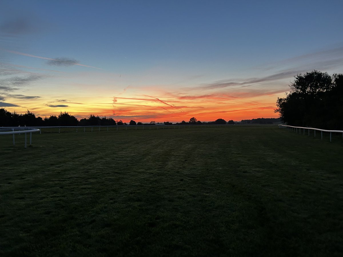 Decs morning for Saturday 16th Sept, @BathRacecourse Summer Sprint and Stayers series finals both worth £30K. 🌱GOOD, GOOD TO FIRM IN PLACES Going stick: 7.0