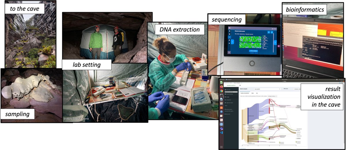 Martina Cappelletti tweet media