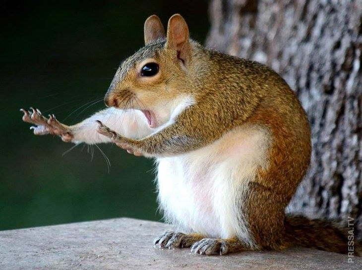 Стойте... не пейте... 🤣🤣🤣
Завтра