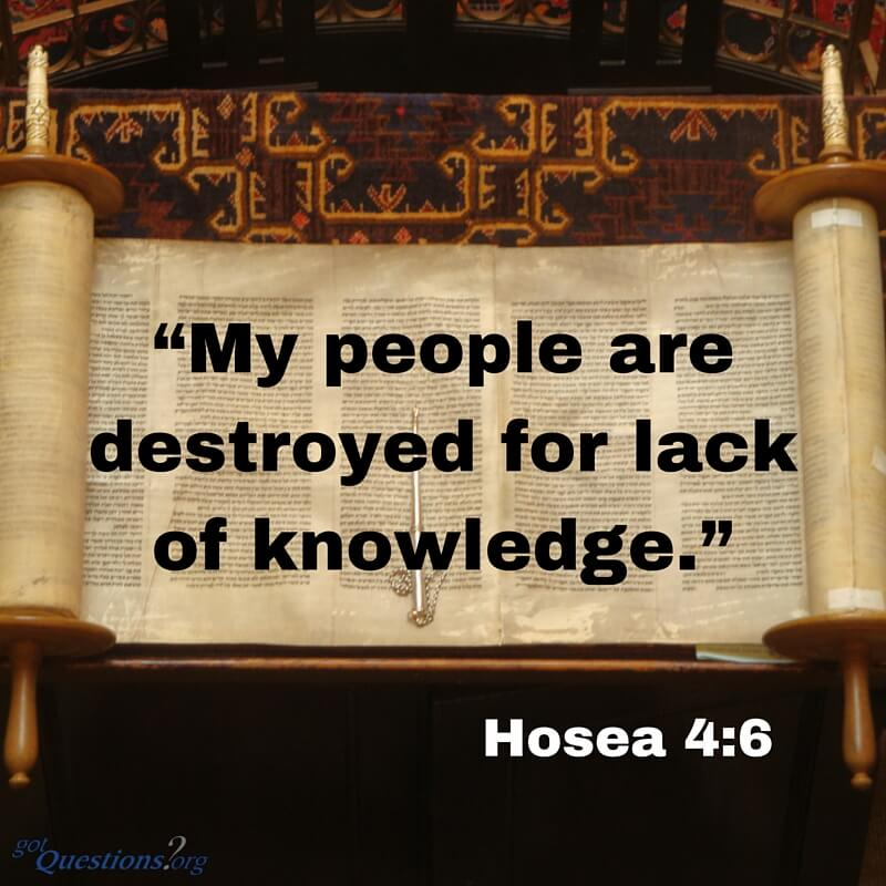 RobertRealm08's tweet photo. From where do you get your knowledge? https://t.co/NN82rqzxBM