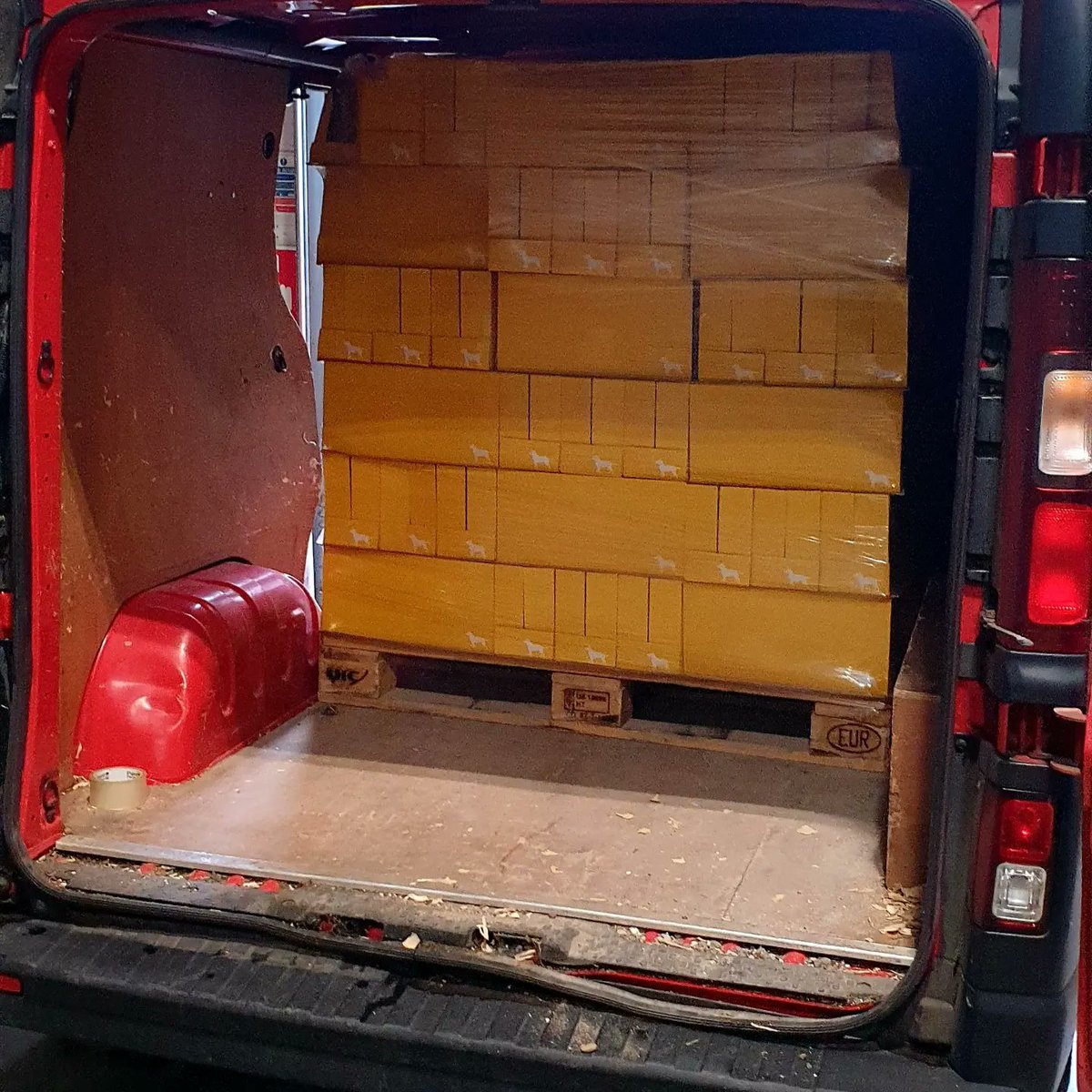 PlayforStrays tweet media