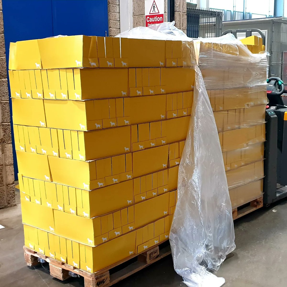 PlayforStrays tweet media