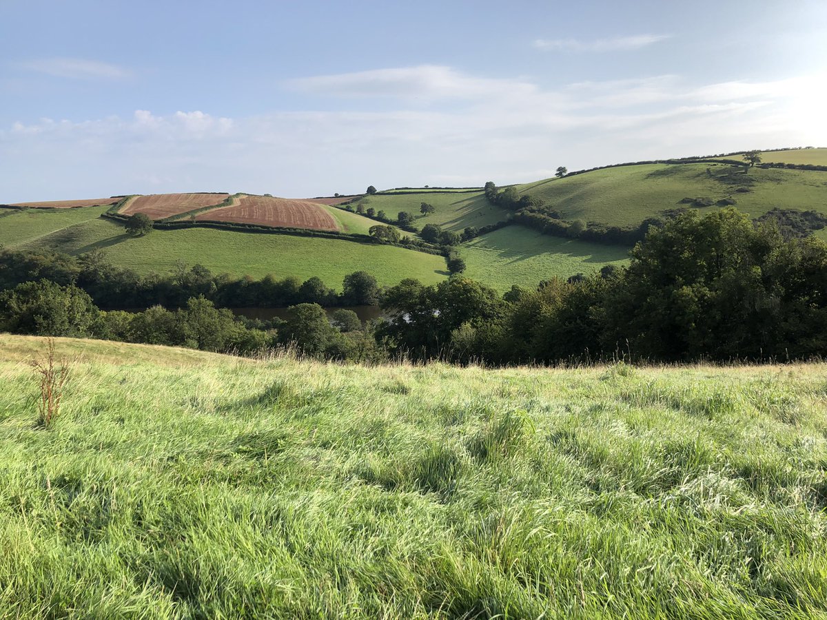 KathEvans2's tweet photo. Always fabulous to catch up with #ChiefCoach of #NHS1000miles (especially as it was totally unplanned!! 🧡) at Sharpham Estate @parkrunUK in Totnes
lovely to see you @JackieSmith_nmc & wonderful @finniejax 💛
awesome views & fab cheerleaders 👇🏼 https://t.co/MaGuQ7kqS9