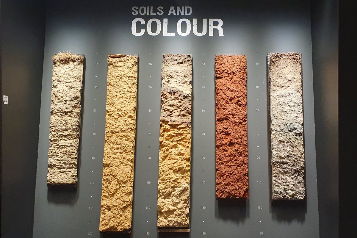 Mooreille (@mooreille) on Twitter photo #WSC23 ended with interesting insights on #soils for #naturebasedsolutions and a tour at the <a href="/WorldSoilMuseum/">World Soil Museum</a>. I'm still so amazed by all these wonderful soil profiles 😍
Thanks to everyone involved in organising and participating for making this such a good conference! 🌱 #WSC23 ended with interesting insights on #soils for #naturebasedsolutions and a tour at the <a href="/WorldSoilMuseum/">World Soil Museum</a>. I'm still so amazed by all these wonderful soil profiles 😍
Thanks to everyone involved in organising and participating for making this such a good conference! 🌱