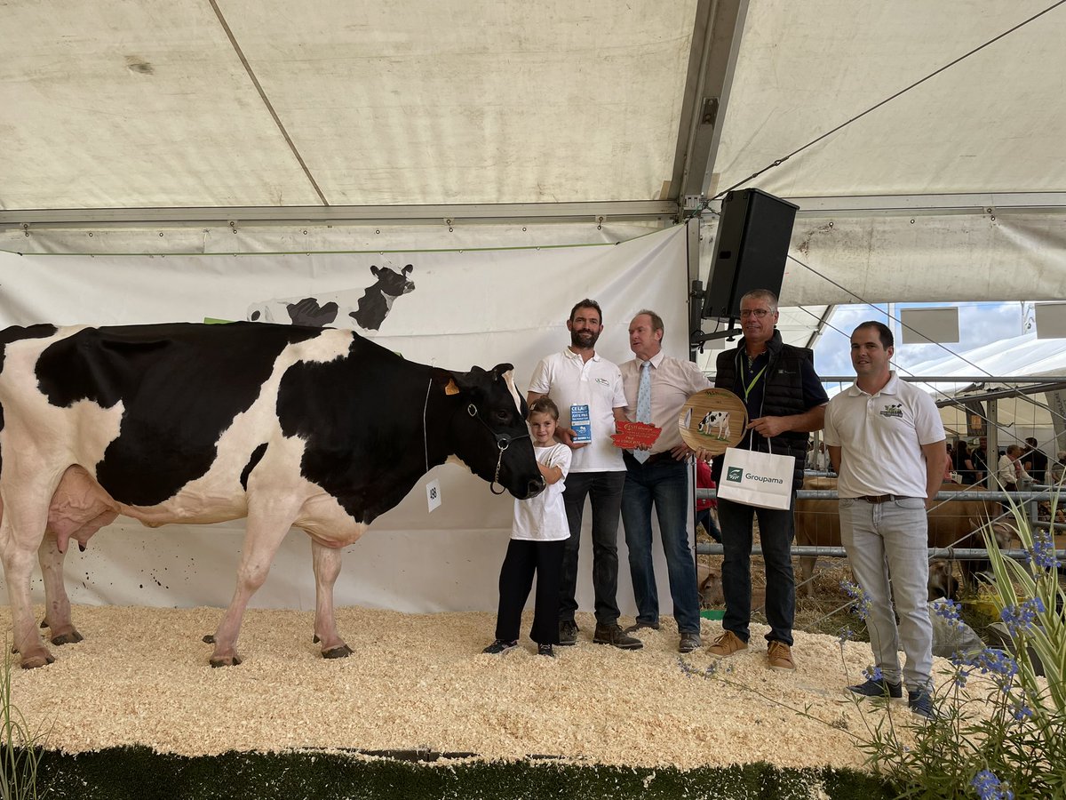 Harpe remporte le prix de la longévité pour sa production de plus de 100 000 litres de lait <a href="/PrimHolstein49/">prim'holstein 49 </a> . Bravo au Gaec de la Pierre Blanche