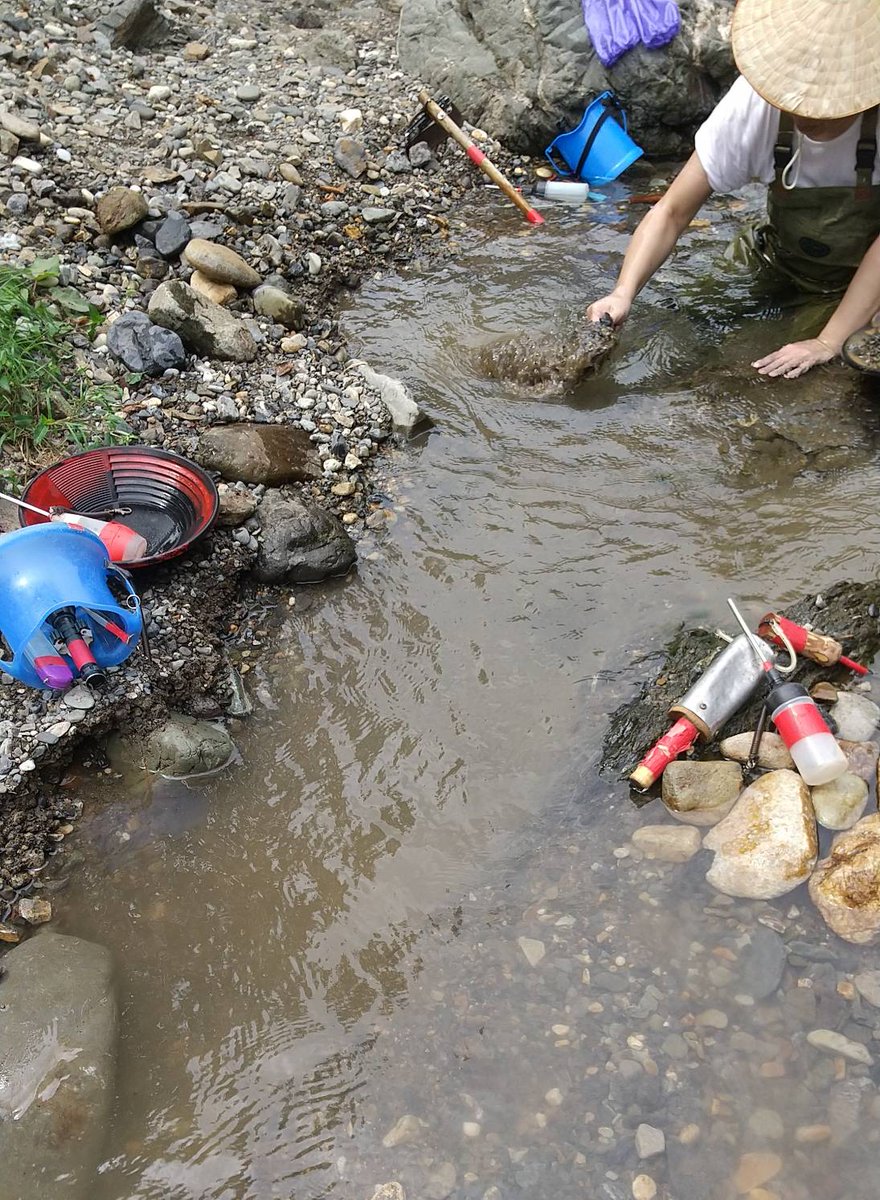 今日久しぶりに師匠と2人で涼しい川に行ってきました。メガネとパンニングで岩盤をホリホリして本日の成果になりました。この川は全体的に大きめのサイズが採れます。師匠は更に大きいサイズを採ってました。