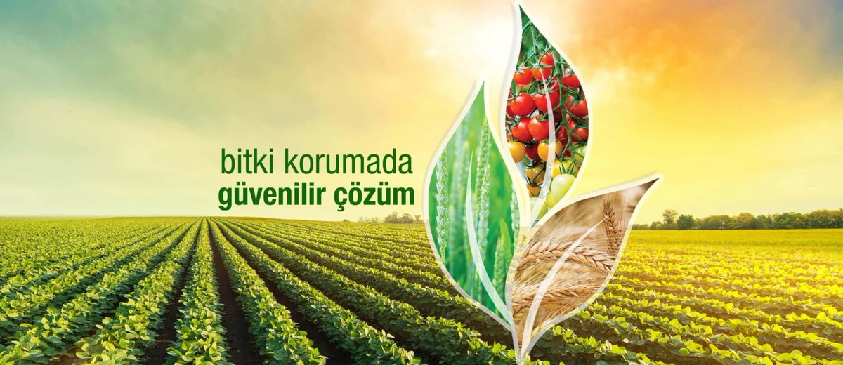 YKaraca1907's tweet photo. #Tarkm

Tarkim Bitki Koruma Ne İş Yapar?

Şirket, bitki koruma ürünleri imalatı, satış ve pazarlaması konusunda faaliyet göstermektedir.

Tesis, 7.800 metrekare alanı kapalı olmak üzere toplam 20.020 metrekare arazi üzerine kurulmuştur. Kapalı alanlarda üretim tesisleri, herbisit, insektisit, fungisit, bitki gelişim düzenleyicisi ve sıvı ilaçlar ünitesi, toz ilaçlar ünitesi, depolar, idari ve sosyal binalar ile birlikte kalite ve arge laboratuvar bulunmaktadır.
Üretim tesislerinde günümüzün kalite normlarına ve FAO (Birleşmiş Milletler Gıda ve Tarım Örgütü) düzenlemelerine uygun şekilde; ıslanabilir toz (WP wettable powder), süspansiyon konsantre (SC Suspension Concentrate), kuru tohum ilacı (DS dry seed), toz (DP dustable powder), emülsiye olabilen konsantre (EC emulsifiable concentrate), granül (GR granules), emülsiyon, yağda su (EO emulsion, Water in oil), suda çözülebilen konsantre (SL soluble concentrate), tablet (TB tablet), suda dağılabilen granül (WDG water dispursible granul), kuru akışkan (DF dust flowable) vb. çeşitli formülasyonlarda insektisitler, herbisitler, fungisitler, akarasitler, bitki gelişim düzenleyicileri, nematositler, mollussisitler, defoliantlar, rodentisitler ve fumigant gruplarında bitki koruma ürünleri üretimi yapılmaktadır.
İşletmenin üretim kapasitesi: 12.080 ton/yıl
Şirket, Türkiye’nin ekolojik yapısı ve bitkisel üretim çeşitliliğine uygun 157 adet zirai ilaç ruhsatını (Tarım Bakanlığı’ndan ürünlerin satışının yurt içinde yapılabilmesi için alınan belgedir. Belge alındıktan sonra üretimi yapılıp satış gerçekleştirilebilmektedir.) portföyünde barındırmaktadır.
Şirket, ayrıca bu konudaki çalışmalarına yoğun bir şekilde devam etmekte ve kısa bir süre içerisinde ürün portföyünü artırarak tarım sektörüne girdi sağlayan önde gelen firmalardan biri olmayı amaçlamaktadır.

Şirket, “EFDAL” ana markasıyla üretime başlamıştır. Bu markayla ürettiği, satış ve pazarlamasını yaptığı bitki koruma ürünleri ile tarımsal üretimde karşılaşılan hastalıklı, zararlı ve yabancı otlara karşı koruma sağlamaktadır.
Yaygın bir satış ve dağıtım ağına sahip olan Tarkim, 7 coğrafi bölgede bulunan profesyonel personeli ile başta 1.615 adet Tarım Kredi Kooperatifi olmak üzere diğer tarımsal birliklere ve zirai ilaç bayilerine hizmet vermektedir.
Türkiye pazarı yanında Mısır, Kıbrıs, Birleşik Arap Emirlikleri, Katar, Suriye, Azerbaycan, Gürcistan’a ihracat yapmakta ve bir çok ülkede ruhsatlama çalışmalarına devam ederek ihracatta önde gelen firmalarından biri olmayı hedeflemektedir.

Tarkim Bitki Koruma Halka Arz Fiyatı Ne Kadar?
Tarkim Bitki Koruma hissesi 107,50 TL’den halka arz olacak.

Tarkim Bitki Koruma Ne Zaman Halka Arz Olacak?
Tarkim Bitki Koruma halka arz tarihinin 5-6 Eylül 2023 olarak açıklandı. Halka arz için talep toplama süresi ise 2 gün oldu.

Tarkim Bitki Koruma Sembolü Ne Olacak? Tarkim Borsa Kodu
Tarkim Bitki Koruma hissesinin sembolü “TARKM” olacak.

Tarkim Bitki Koruma Halka Arz Büyüklüğü Ne Kadar?
Tarkim Bitki Koruma halka arzının büyüklüğü 537 milyon TL olarak açıklandı.

Tarkim Bitki Koruma Halka Açıklık Oranı Ne Kadar?
Tarkim Bitki Koruma’nın halka arz açıklık oranı 23,81%’dir. Toplamda 5 milyon adet lot dağıtılacaktır. 

Tarkim Bitki Koruma Halka Arzı Oransal mı Yoksa Eşit mi Olacak?
Tarkim Bitki Koruma halka arzı eşit dağıtım olarak gerçekleşecektir.

Tarkim Bitki Koruma Kimin?
Tarkim Bitki Koruma şirketinin 2 ortağı bulunmaktadır. Şirket paylarının 40%’ı Gübre Fabrikaları, 60%’ı Tarım Kooperatifleri Merkez Birliği’ne aittir.

Tarkim Bitki Koruma Halka Arz Gelirini Nerede Kullanılacak?
Şirketin halka arz kapsamında gerçekleştirdiği 5.000.000 TL, nominal bedelli sermaye artırımı sonucu elde edilecek gelirden, şirkete düşen halka arz maliyetinin çıkarılması ile elde edilecek net gelir aşağıda detayları belirtilen yatırımların fonlanmasında kullanılacaktır.
