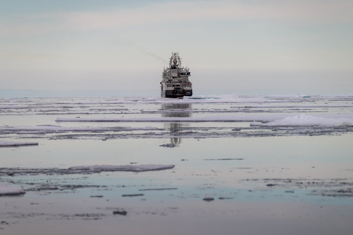 Det nyleg avslutta Polhavstoktet fann store mengder lodde over skråninga til det djupe #Polhavet for første gong ➡️ npolar.no/nyhet/lodda-lu…

#NPIArcticOceanCruise #ArcticOcean #FFKronprinsHaakon 
📷Jessica Cook, Arctic Council